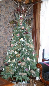 IMG_1054