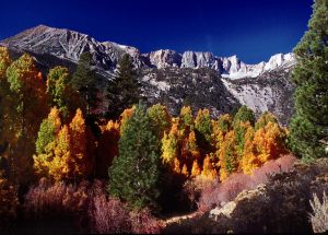 Lee_Vining_Canyon2