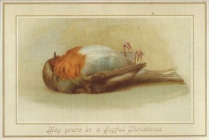 Vintage Christmas--Dead robin